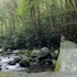 Big Creek Trail hike to Mouse Creek Falls in North Carolina