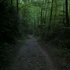 Big Creek Trail hike to Mouse Creek Falls in North Carolina