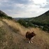 Hiking the Appalachian Trail in Lehigh Gap