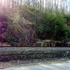 D and L Trail North of Glen Onoko