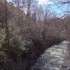 D and L Trail North of Glen Onoko