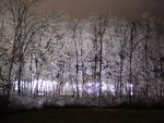 Ice Storm