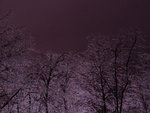 Ice Storm