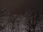 Ice Storm