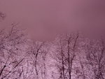 Ice Storm