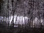 Ice Storm