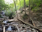 Glen Onoko Falls Trail Hike