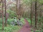 Lake Nockamixon Mountain Bike Trails